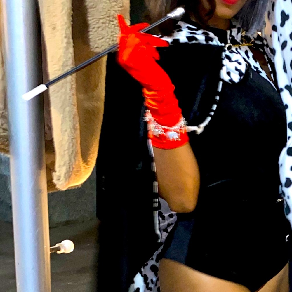 Cruella Devil Costume